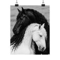 Black and White Horses Poster Matte Vertical Poster | Horse Wall Art, Equine Print
