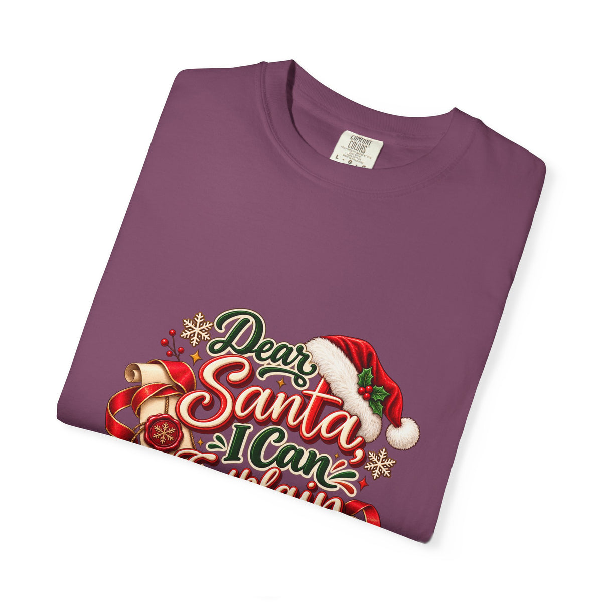 Dear Santa I Can Explain T-Shirt — Funny Christmas Tee