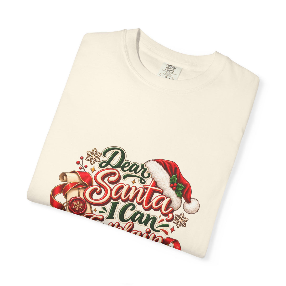 Dear Santa I Can Explain T-Shirt — Funny Christmas Tee