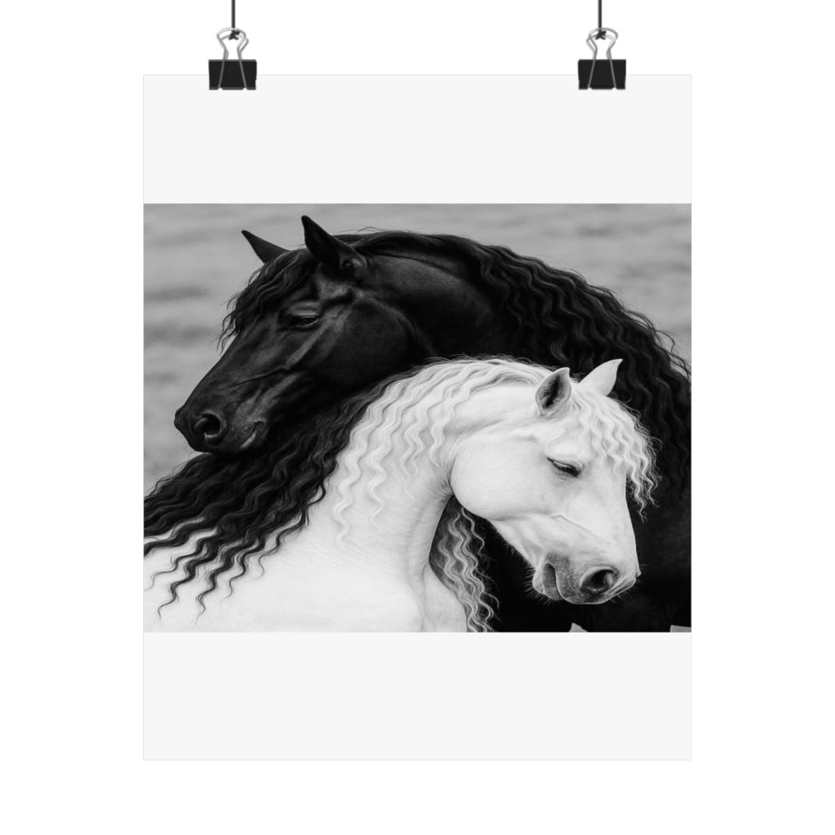 Black and White Horses Poster Matte Vertical Poster | Horse  - 10″ x 20″