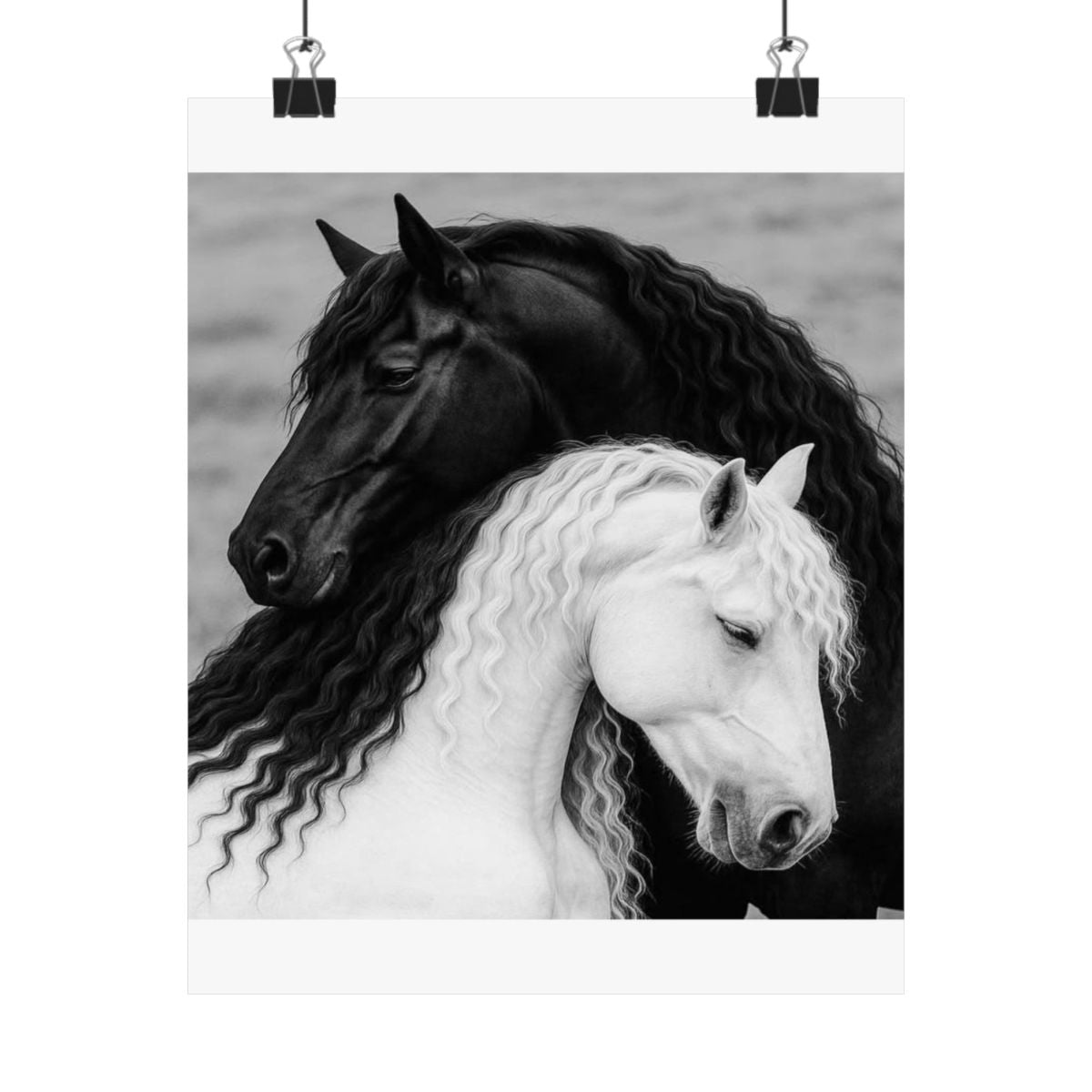 Black and White Horses Poster Matte Vertical Poster | Horse  - 16″ x 24″