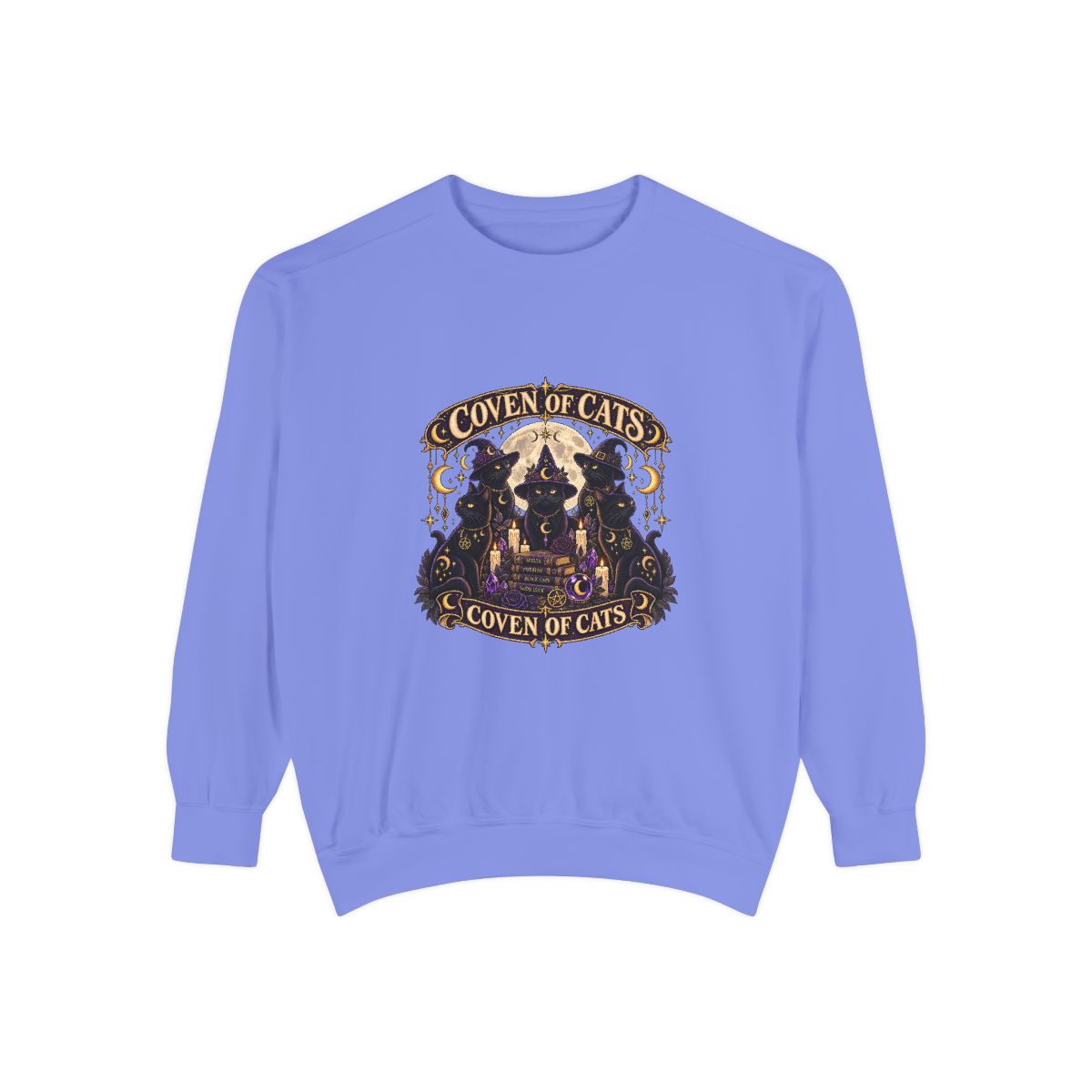Coven of Cats sweatshirt | Witchy Black Cat Illustration