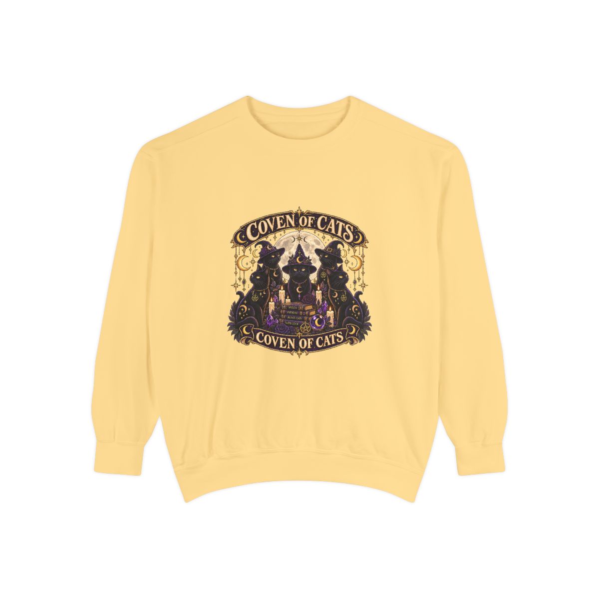 Coven of Cats sweatshirt | Witchy Black Cat Illustration