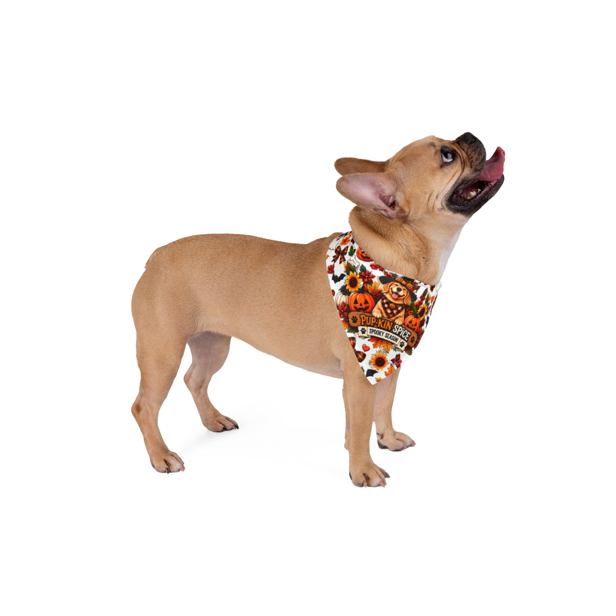 Pup-kin Spice Pumpkin Patch Pet Bandana | Halloween Fall Leaves