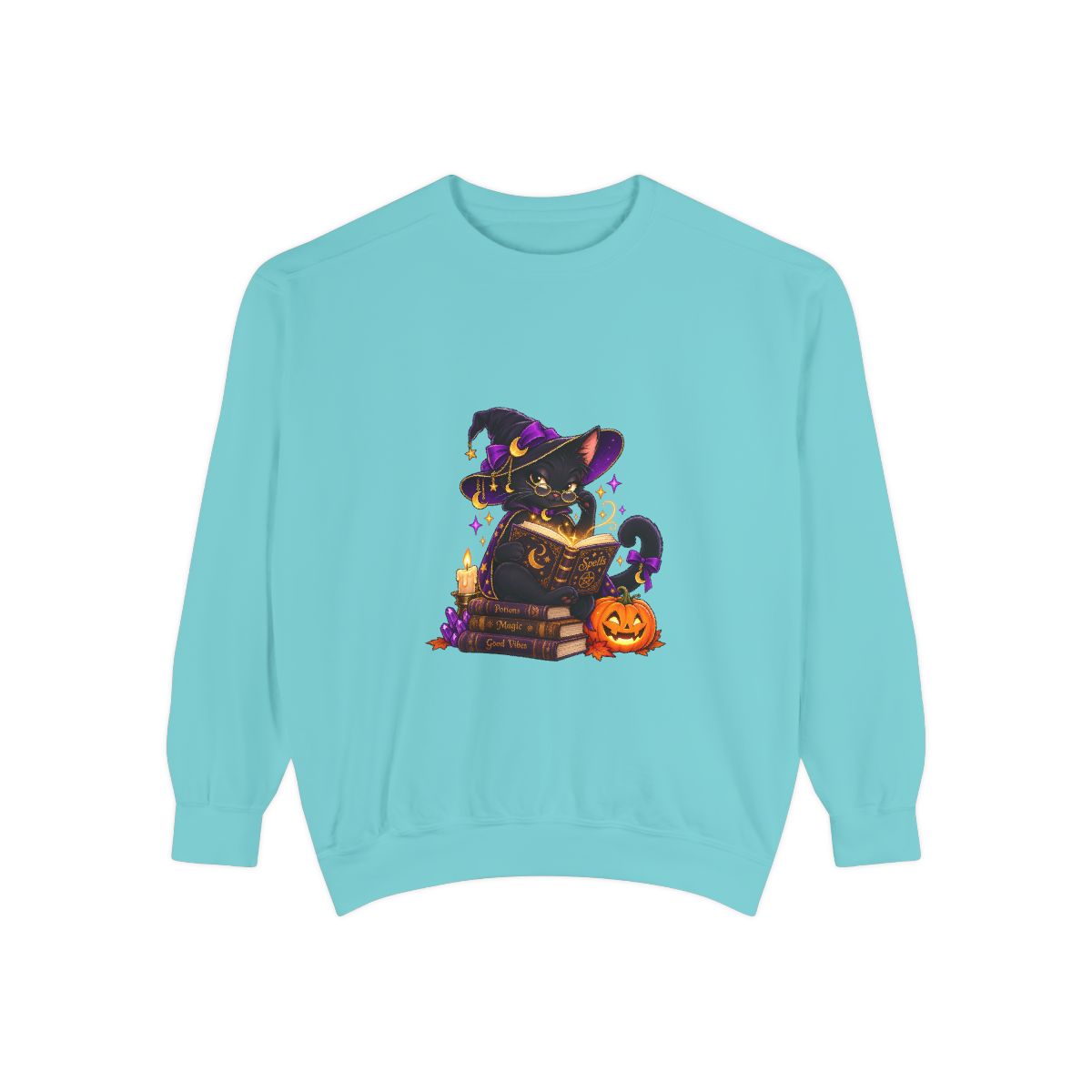 Witch Raccoon Reading Spellbook Sweatshirt | Halloween Cat Pumpkin