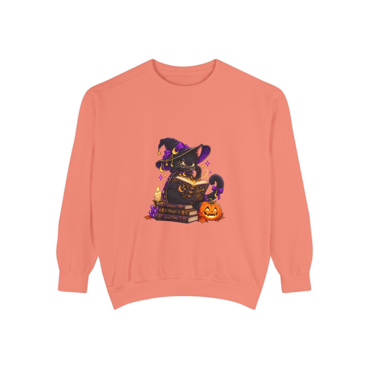 Witch Raccoon Reading Spellbook Sweatshirt | Halloween Cat Pumpkin