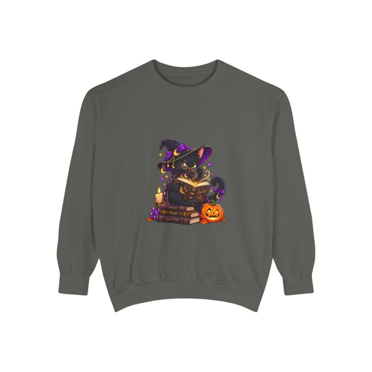 Witch Raccoon Reading Spellbook Sweatshirt | Halloween Cat Pumpkin