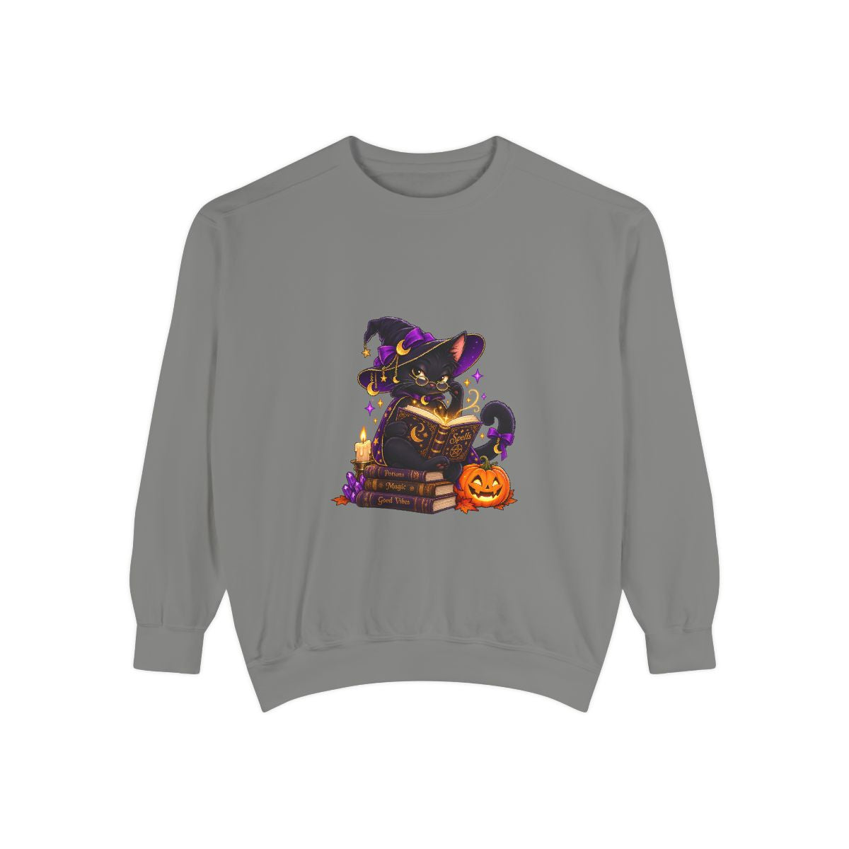 Witch Raccoon Reading Spellbook Sweatshirt | Halloween Cat Pumpkin